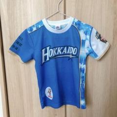 北海道日本ハムファイターズ キッズ Tシャツ ブルー