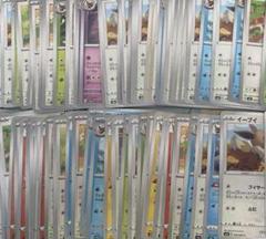 ポケモンカード　イーブイ　ブイズ　ノーマル　まとめ売り　100枚