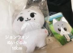 w① enhypen ぬいぐるみ ジョンウォン 10cm マスター 未使用 ②