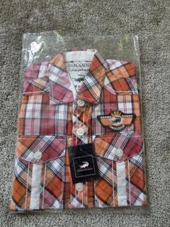 キッズ　クロコダイル　シャツ