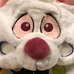 ディズニー ファンキャップ不思議の国のアリス 白うさぎ アリス
