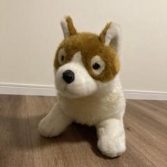 2022年最新】パトラッシュ ぬいぐるみの人気アイテム - メルカリ