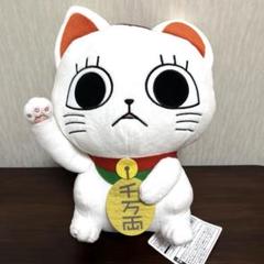 2025年最新】ダダン ぬいぐるみの人気アイテム - メルカリ