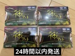 新品未開封 DMART-23 神アート ドラゴン娘の文化祭でウェカドラ