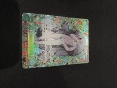 ワンピース トレーディングカード ドンキホーテ•ロシナンテ