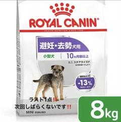 即日発送 ロイヤルカナン ミニステアライズド 8kg ロイヤルカナン ミニステアライズド 2kg（3182550902458）｜犬