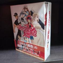 虫籠の錠前 Blu-ray Disc Box〈完全生産限定版・2枚組〉 刀語 Blu-ray Disc Box【完全生産限定盤】・刀語 | Sony Music