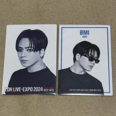 登坂広臣 LDH LIVE EXPO 2024 フォトカード 2枚 - メルカリ