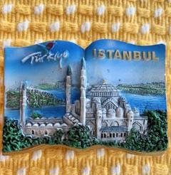 トルコ★マグネット★イスタンブール♡本型