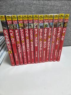 どっちが強い　24冊セット 51kjdVVvG2L._AC_UF350,