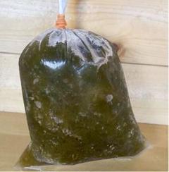 もずく500g 天然 伊勢志摩産