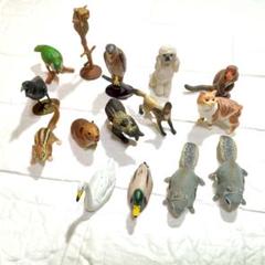 チョコエッグ動物フィギュアセット 約50体 2000年代初頭 チョコエッグほか 海洋堂監修 動物 フィギュア 48
