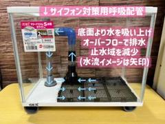 自作 オーバーフロー水槽 (おまけ付き) 自作 オーバーフロー水槽 (おまけ付き) - メルカリ