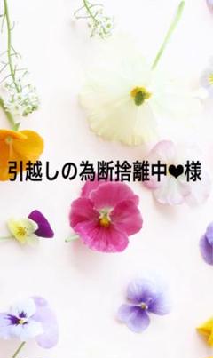 【感謝価格】 引越しの為断捨離中❤︎様専用出品になります。 - メルカリ スカート