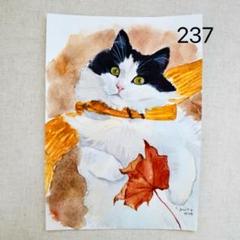 猫の絵 237 水彩画 原画 ハチワレ - メルカリ