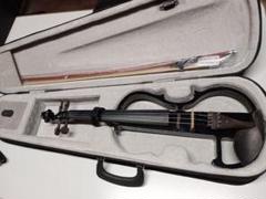 ammoon ホワイト バイオリン 本体とケース Eastman CAVL-16A ホワイト バイオリンケース スタンダード
