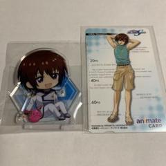 【新品】 映画 機動戦士ガンダムSEED FREEDOM アニメイト 特典 キラ