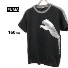 PUMA プーマ　半袖Tシャツ　男の子　160cm プリント　メッシュ素材