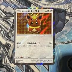 2025年最新】ポンチョを着たイーブイの人気アイテム - メルカリ