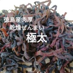 徳島産 肉厚乾燥ぜんまい 100g 極太 天然物 山菜ゼンマイ 野菜