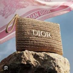 週末セール❣️DIOR ディオール 刺繍ポーチ 正規ノベルティ 新品 DIOR ディオール 刺繍ポーチ マザーズデイ ノベルティ 新品
