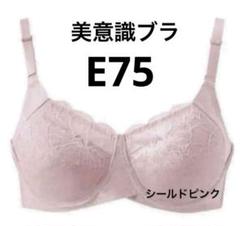 シャルレ　美意識ブラ　E75 シャルレ / 美意識ブラジャーの公式商品情報｜美容・化粧品情報