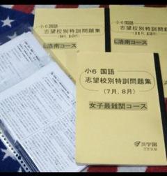 浜学園 小6 日曜志望校別特訓 国語
