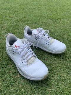 【希少】NIKE Jordan ADG3 ゴルフシューズ 26cm