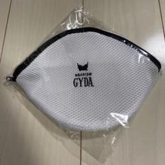 AGARISM×GYDA 洗濯ネット ランジェリー 限定品　新品☆未使用