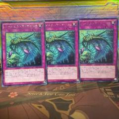 遊戯王　バージェストマ・マーレラ　字レア　3枚