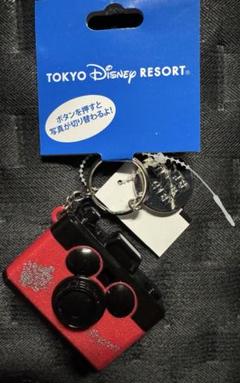 ビッグバンドビート　トートバッグ　Tシャツ　フライヤー付き ビッグバンドビートデザインも！東京ディズニーランド 実写