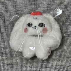 IVE ぬいぐるみ マスター ウォニョン 10cm ② love dive IVE minive school 10cm ぬいぐるみキーリング ウォニョン②