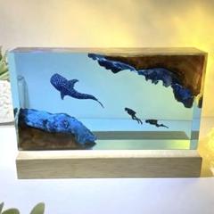 【定番商品⭐︎青の癒し】海レジンアート　オーシャンアート　クジラとダイバー 定番商品⭐︎青の癒し】海レジンアート オーシャンアート クジラ