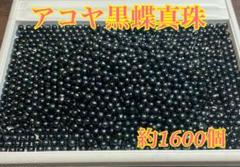 ☆アコヤ黒蝶真珠☆約1600個 約7.5-8mmパール 真珠 あこや 黒蝶 両穴
