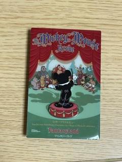 ディズニーワンダブルズ　ピンバッジ　コンプリートセット　アトラクション ディズニーランド アトラクション ピンバッジ