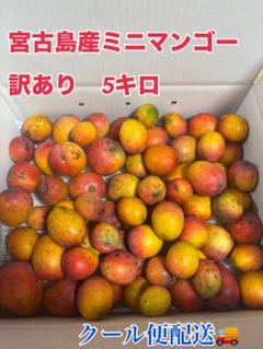 ※訳あり　プロフ必読！宮古島産 ミニマンゴー 5キロ 訳あり プロフ必読！宮古島産 ミニマンゴー 5キロ - メルカリ