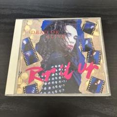 レア！デッド・オア・アライブ／Rip It Up 1987 ツアーパンフレット