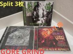 ゴアグラインド Lord Goreセット CD コレクション ゴアグラインド 2022年の名盤10選 | RIFF CULT