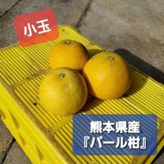 あめぴパール柑Ｌ20kg パール柑【熊本県産】約10kg 14〜30玉入 柑橘 くだもの 果物