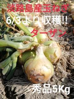 《秀品5Kg》淡路島玉ねぎ 玉葱 たまねぎ