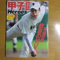 甲子園ヒーローズ 第88回全国高校野球選手権大会のサムネイル