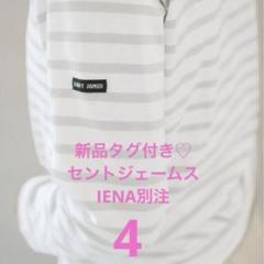 セントジェームス IENA別注 モーレ ボーダー グレー T4