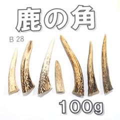 クラフト　鹿の角14本セット 鹿の角 B28- 7本セット 約100g 鹿角 鹿ツノ しかつの - メルカリ
