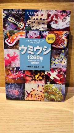 ウミウシ 1260種 新版 新版 ウミウシ | 株式会社誠文堂新光社