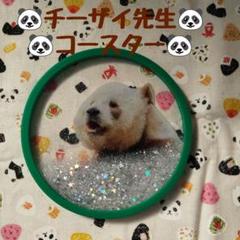 ★メーカー正規品★チーザイ(七仔) アーバオ（阿宝） ぬいぐるみキーホルダー Amazon.co.jp: パンダ チーザイ&アーバオ ぬいぐるみ