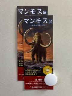名古屋市科学館 マンモス展 ペアチケット
