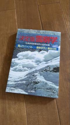決定版雪崩学