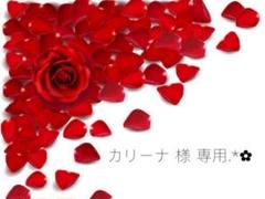 No.29 / CHANEL Dior MAC デパコスたくさん 化粧品 大量