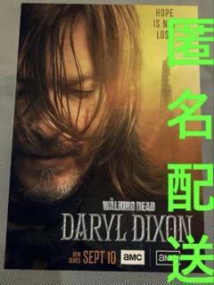 ウォーキングデッド　ダリルディクソン　ポスター