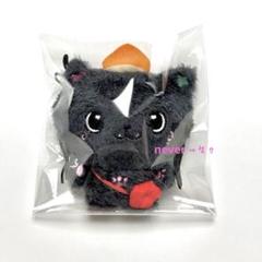 NCTWISH リク WISHDOLL ぬいぐるみ MD Steady NCTWISH リク WISHDOLL ぬいぐるみ MD Steady - メルカリ